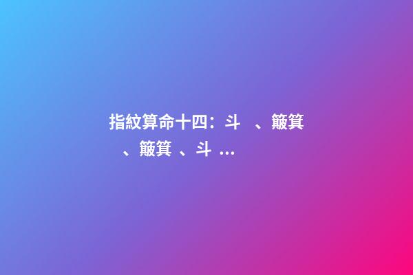指紋算命十四：斗、簸箕、簸箕、斗、簸箕